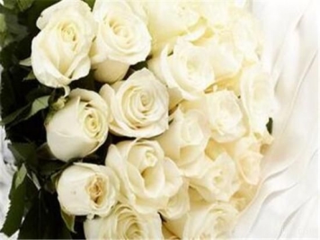 11朵、33朵、66朵白玫瑰代表的什么意思