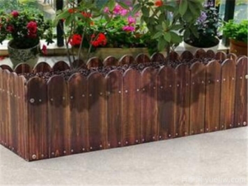 防腐木花盆优缺点 防腐木花盆养花好吗