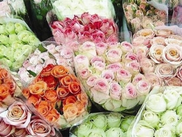 鲜切花的保鲜方法 鲜切花怎么养