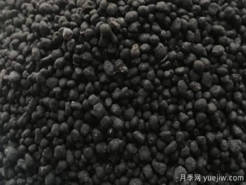 生物肥和有机肥有什么不同