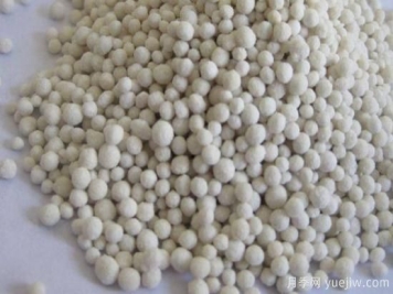 磷钾肥的浇花方法