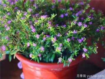 “厚德载物”是哪几德，你知道吗？涨知识！