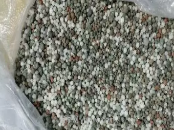 复合肥养月季使用方法