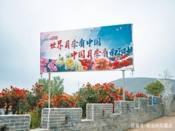南阳月季博览园本周凭本人南阳身份证可免费游园