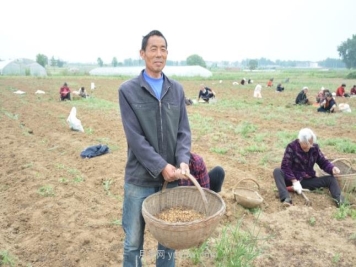 邓州打造中药材品牌聚合力