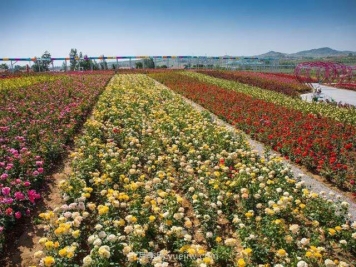 苗木灌溉除草施肥的重要管理技术