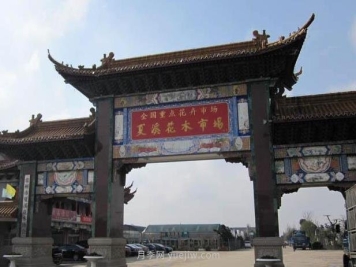 常州夏溪花木产业的发展史