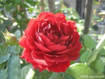 一个人最顶级的自律，是拒绝内耗