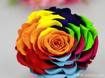 教你如何制作七彩玫瑰永生花