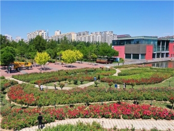 造价知识：绿化工程全套计算规则