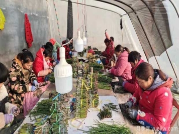 南阳方城：3000巾帼冬季忙 嫁接插花绣明天 