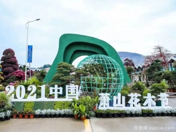 花木城：杭州中栋国际花木城