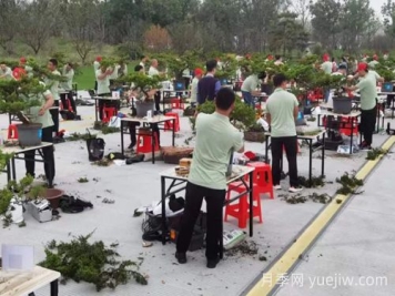 9月25日第二届全国盆景职业技能竞赛在合肥举办