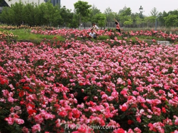 园林景观设计的四大原则
