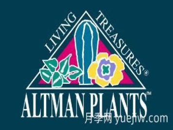 月季育种家：美国奥特曼园艺(Altman Plants)