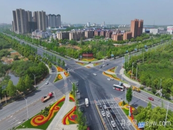 万株树状月季齐绽放，扮靓宁乡城市新风景