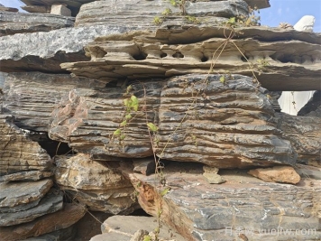 园林景观石种类及全国分布