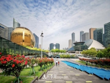 浙江杭州：钱江新城近千株月季盛开阳台