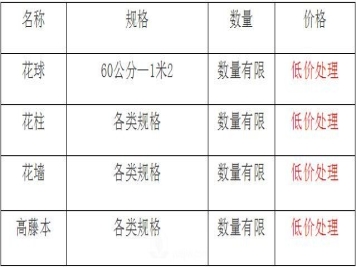 清地在即，部分造型月季品类月季价格短时间走低