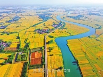 驻马店农业：国际农都气如虹