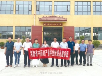 科技创新促进南阳艾草产业高质量发展