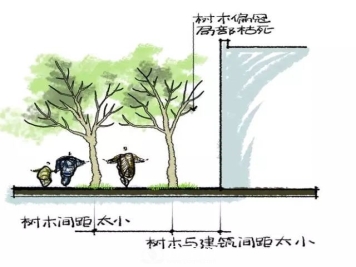 移植苗木终年皆可进行的秘诀