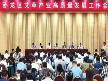 打造“中国艾草之乡”，南阳市卧龙区引领艾草产业高质量发展