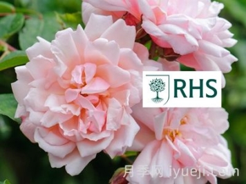 英国皇家园艺学会花园优异奖(RHS AGM)