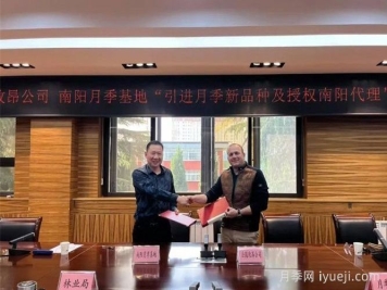 南阳月季基地和法国玫昂月季公司签约引进新品种