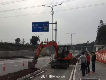 绿化工程苗木价格计算办法