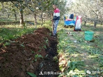 果园秋施基肥和明年花前施基肥有什么区别？