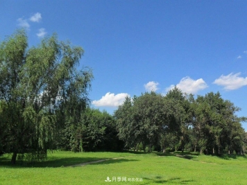 苗木价格涨了，为什么还是不挣钱？