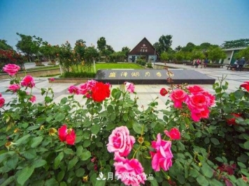 国内首家掷准飞盘赛场，在苏州盛泽湖月季公园落成