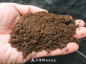 9月又到换盆时，盆里加点“特殊料”，怎么养都爆盆