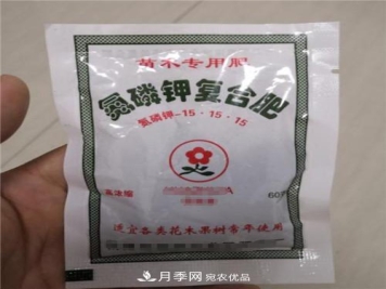 买月季花时赠送的小包肥料和生根粉是真是假？教你辨别