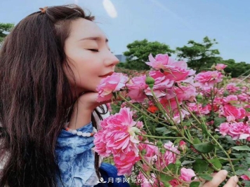 苏州抖起来达人谷月季花海……网红打卡地