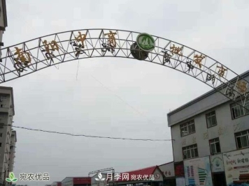 南阳中商农产品批发市场