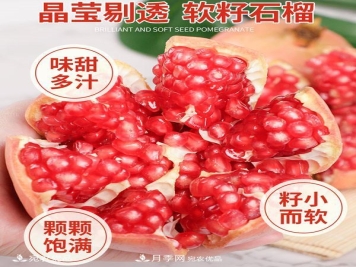 南阳特产：淅川软籽石榴