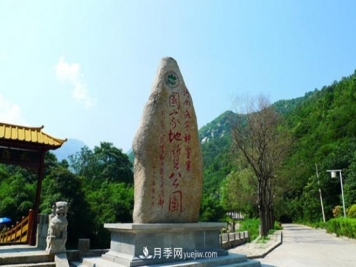 河南五个绿色“海洋”，在20度的森林中呼吸，让你流连忘返