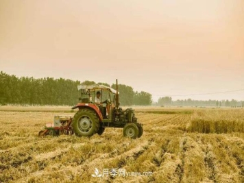 粮食生产先进单位——改革开放40年南阳品牌聚焦