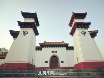 南阳打造中医圣地 叫响仲景中医药品牌