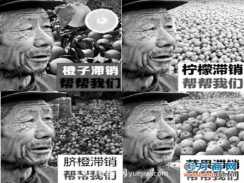 网售滞销农产品只有四成是真的