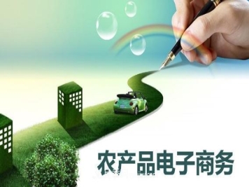 大学毕业回乡创业电商 誓把南阳农产品推向世界