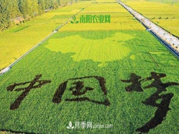 南阳2019年农业十佳产业基地和扶贫电商都有谁？