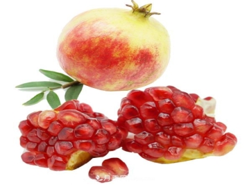 河南淅川软籽石榴林果开发基地