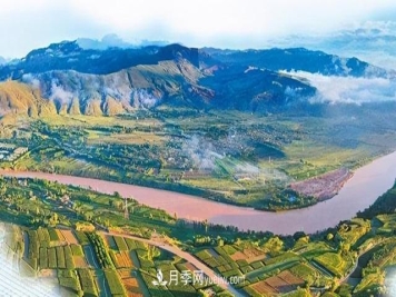 华北三省市发布造林绿化计划，规模大格局高，还有树种提示