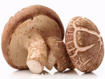 中国香菇产业调查分析报告，市场现状与发展前景