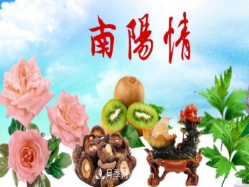 南阳新农人搞农业要记住四点才能成功