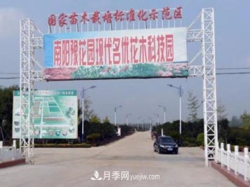 南阳豫花园花木：以生态为本，打造现代农业“大花园”