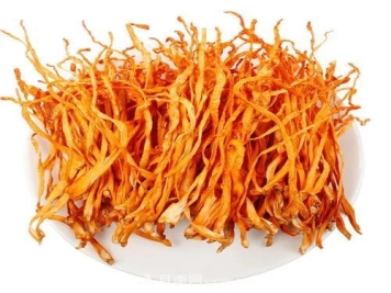 中国蛹虫草（北冬虫夏草）产业发展前景及风险分析